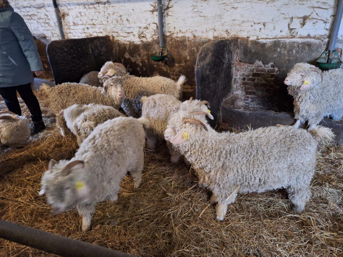 WhatsApp-Image-2023-10-30-at-16.46.16