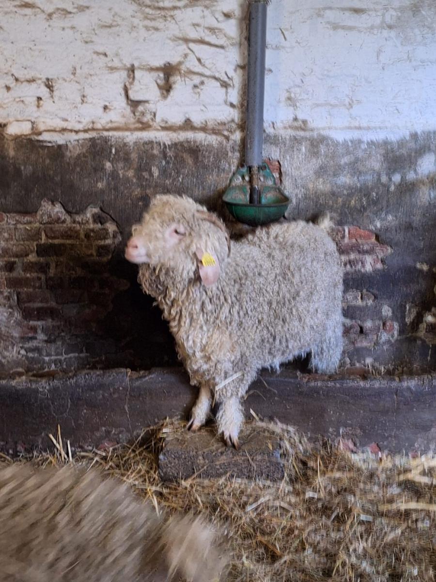 WhatsApp-Image-2023-10-30-at-16.46.17