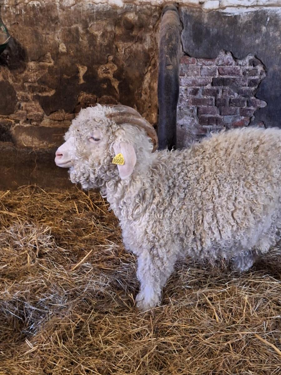 WhatsApp-Image-2023-10-30-at-16.46.171