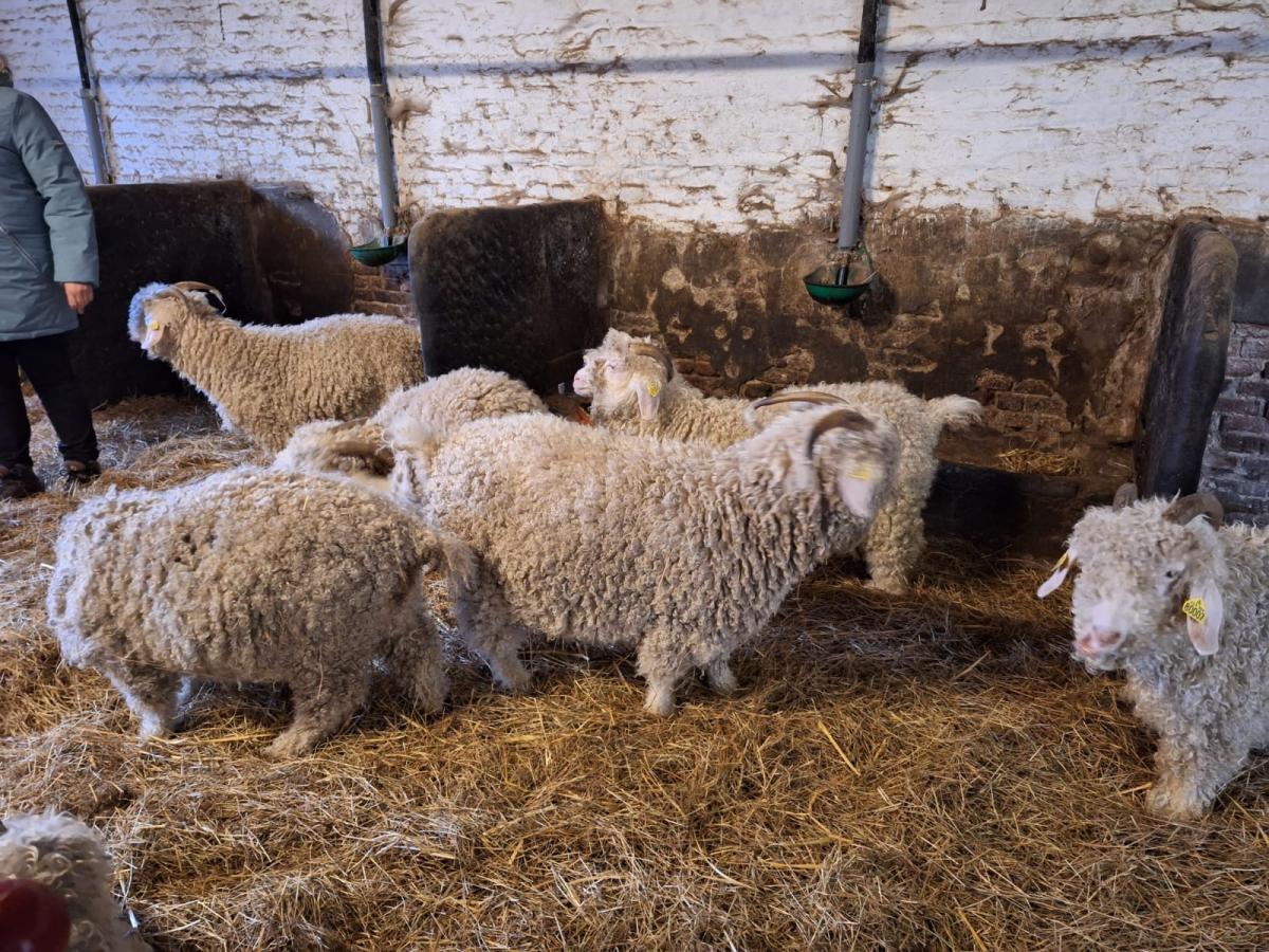 WhatsApp-Image-2023-10-30-at-16.46.18