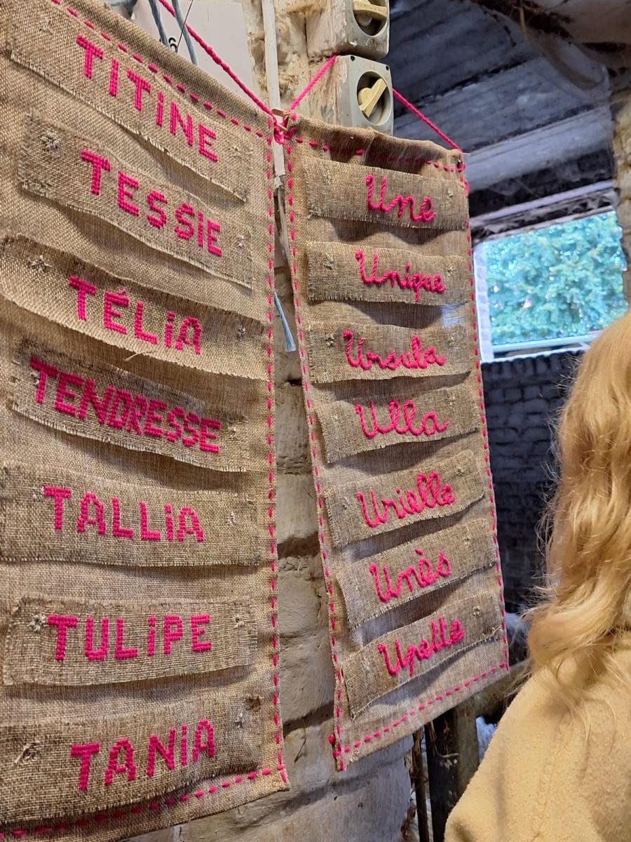 WhatsApp-Image-2023-10-30-at-16.46.21