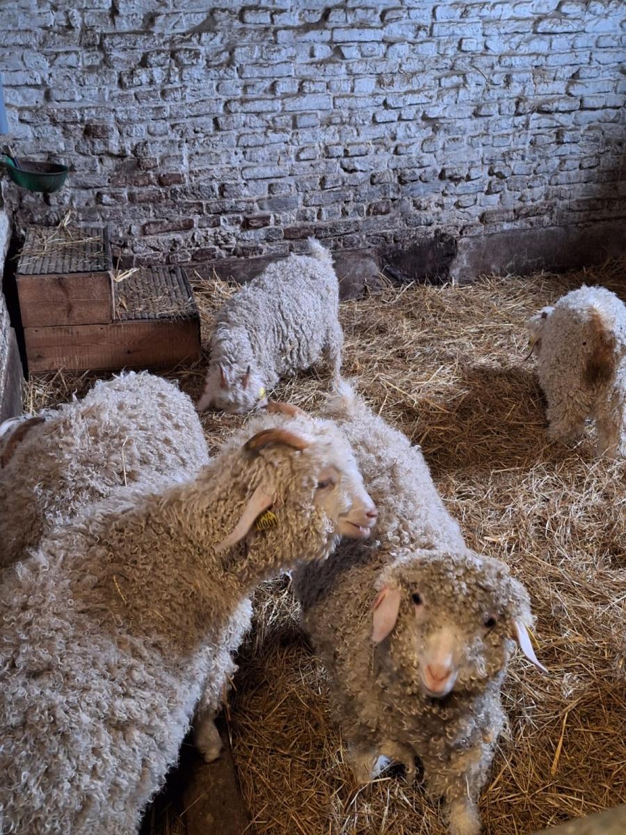 WhatsApp-Image-2023-10-30-at-16.46.24