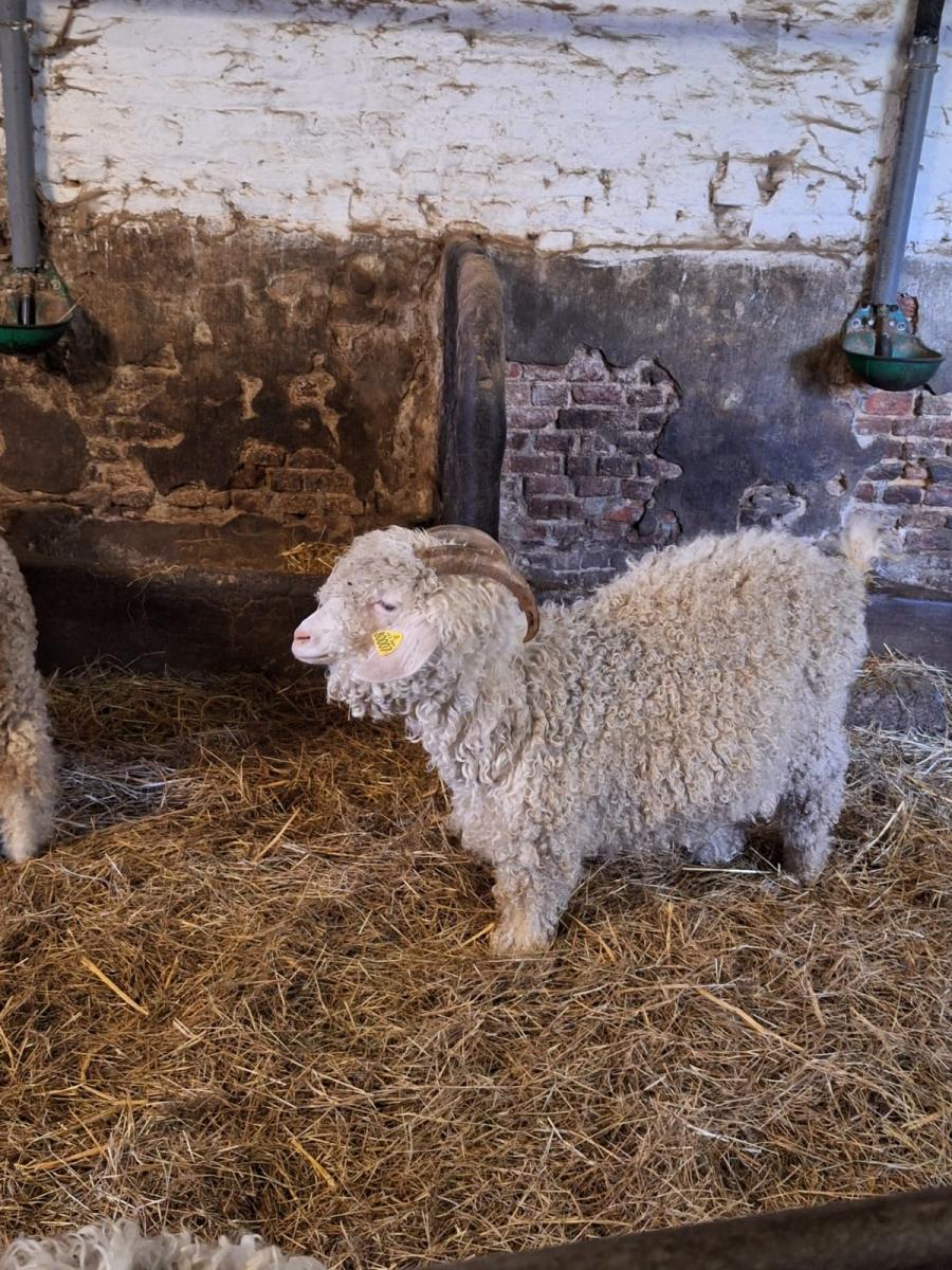 WhatsApp-Image-2023-10-30-at-16.46.40