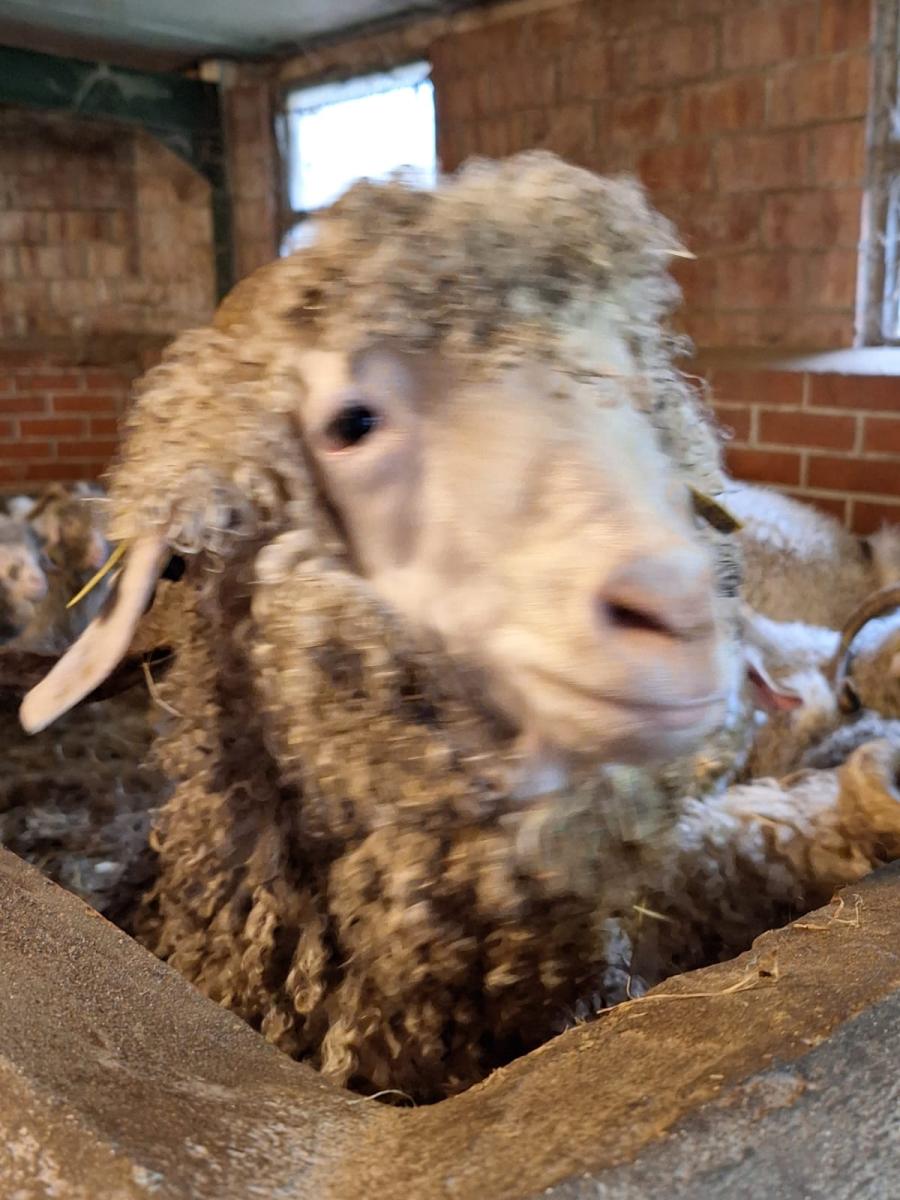 WhatsApp-Image-2023-10-30-at-16.46.42