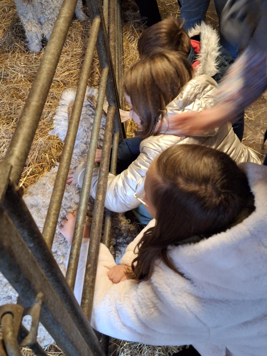 WhatsApp-Image-2023-10-30-at-16.46.46