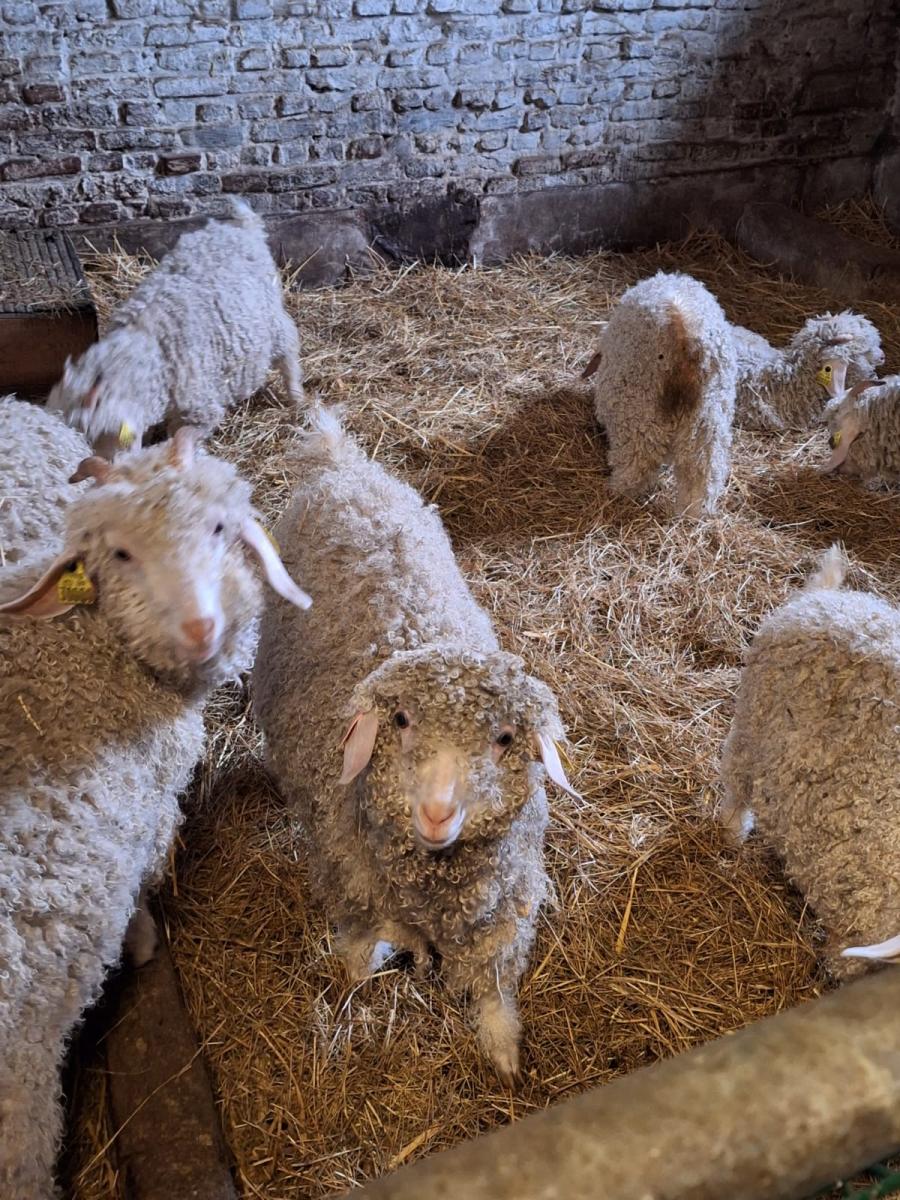 WhatsApp-Image-2023-10-30-at-16.46.48