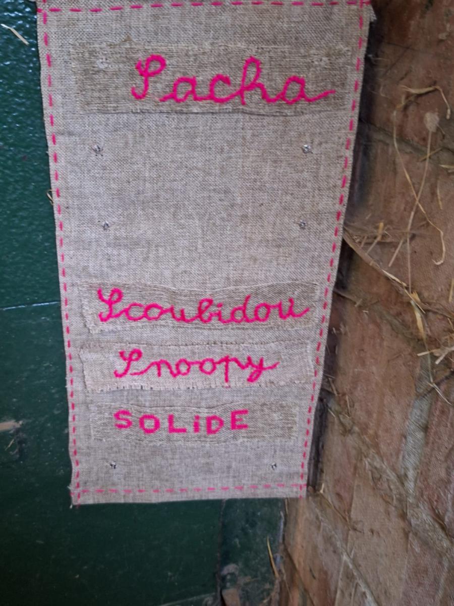 WhatsApp-Image-2023-10-30-at-16.46.49