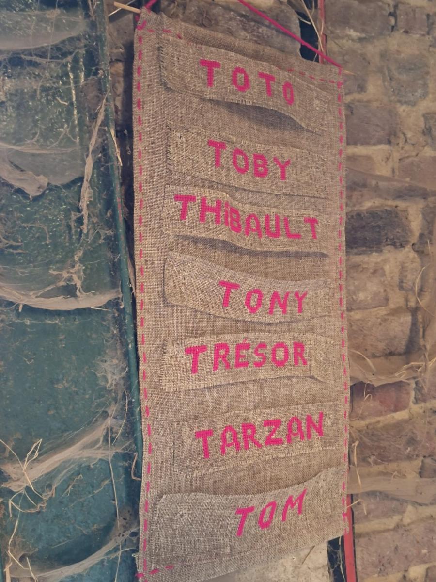 WhatsApp-Image-2023-10-30-at-16.46.491