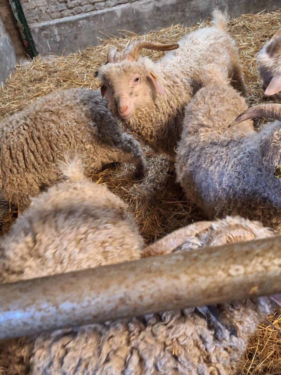 WhatsApp-Image-2023-10-30-at-16.46.52