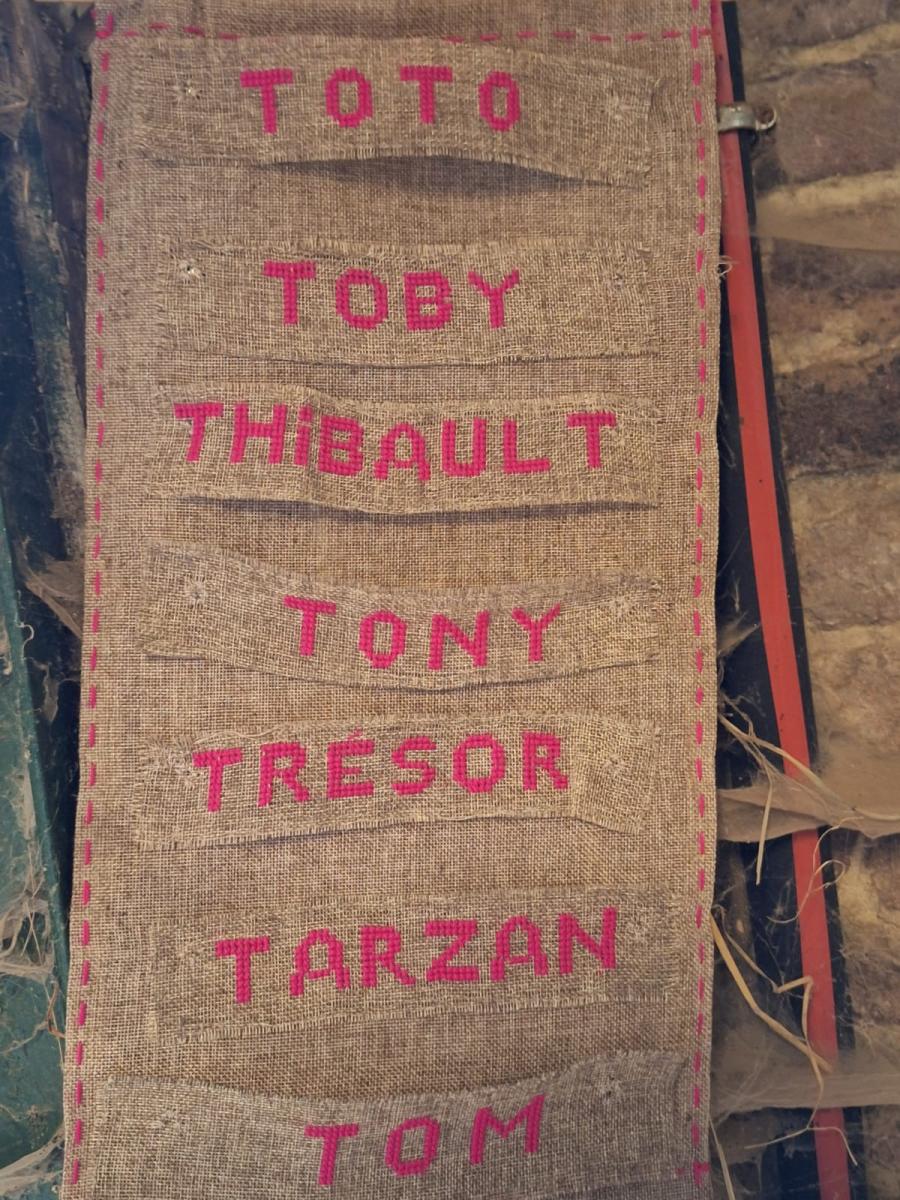 WhatsApp-Image-2023-10-30-at-16.46.521