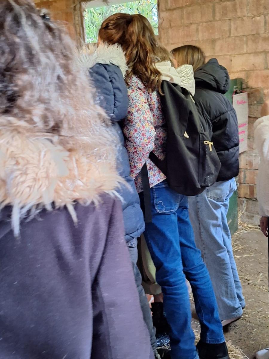 WhatsApp-Image-2023-10-30-at-16.46.54