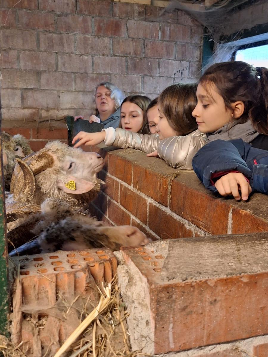 WhatsApp-Image-2023-10-30-at-16.46.58