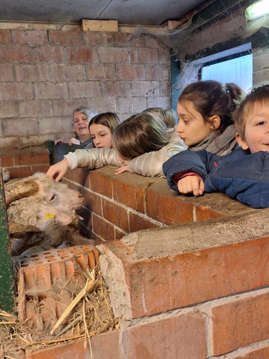 WhatsApp-Image-2023-10-30-at-16.47.00