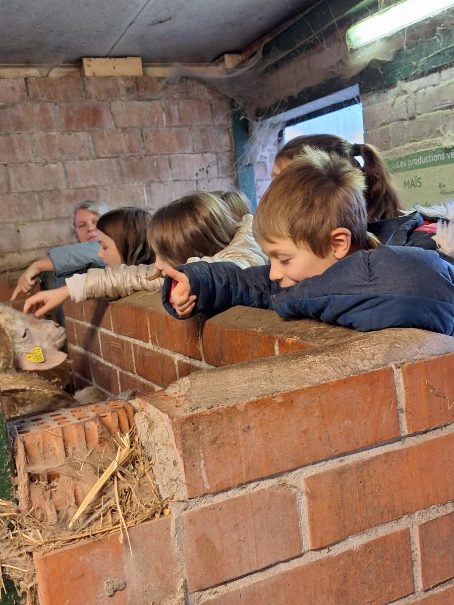 WhatsApp-Image-2023-10-30-at-16.47.04