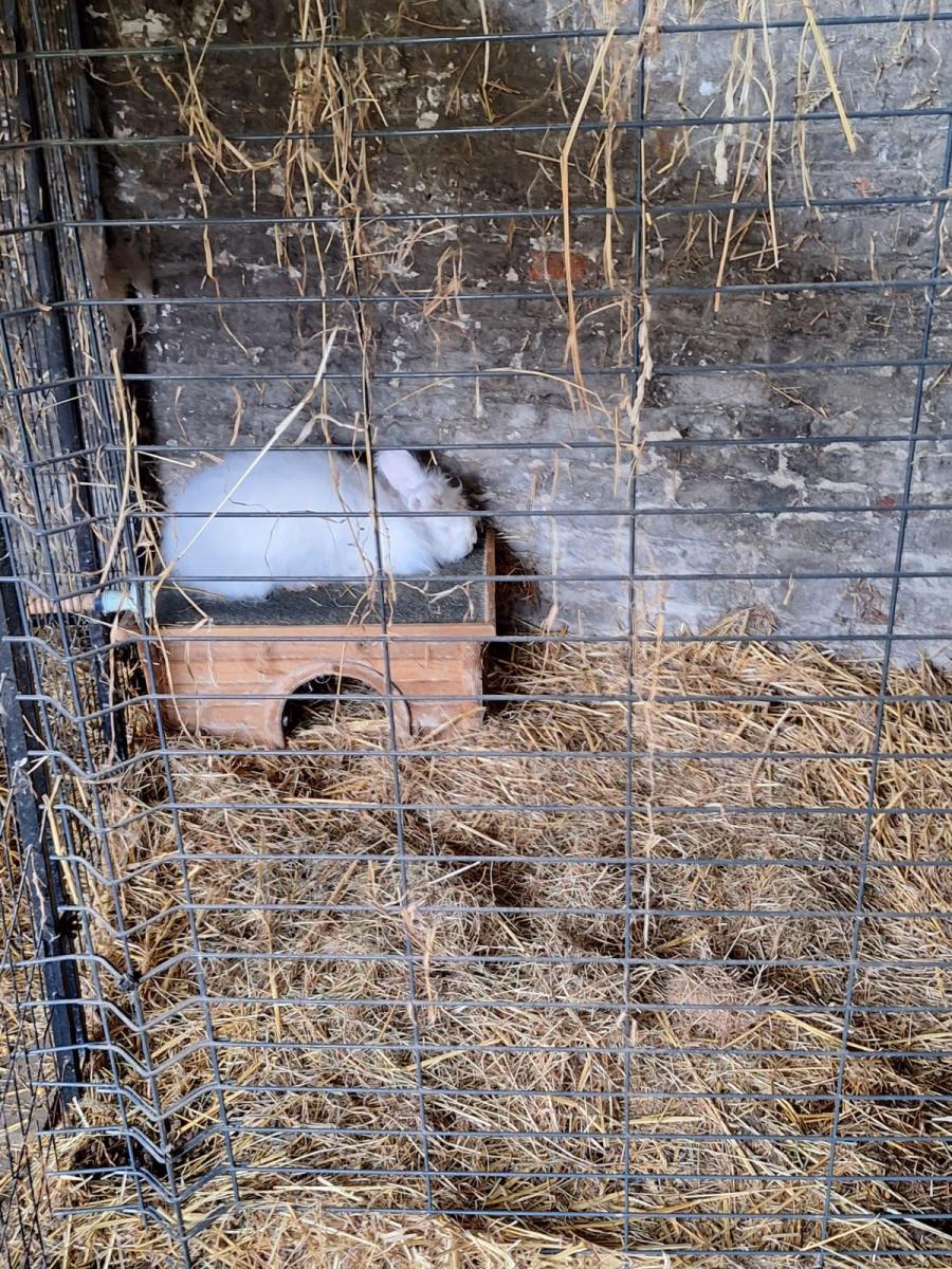 WhatsApp-Image-2023-10-30-at-16.47.12