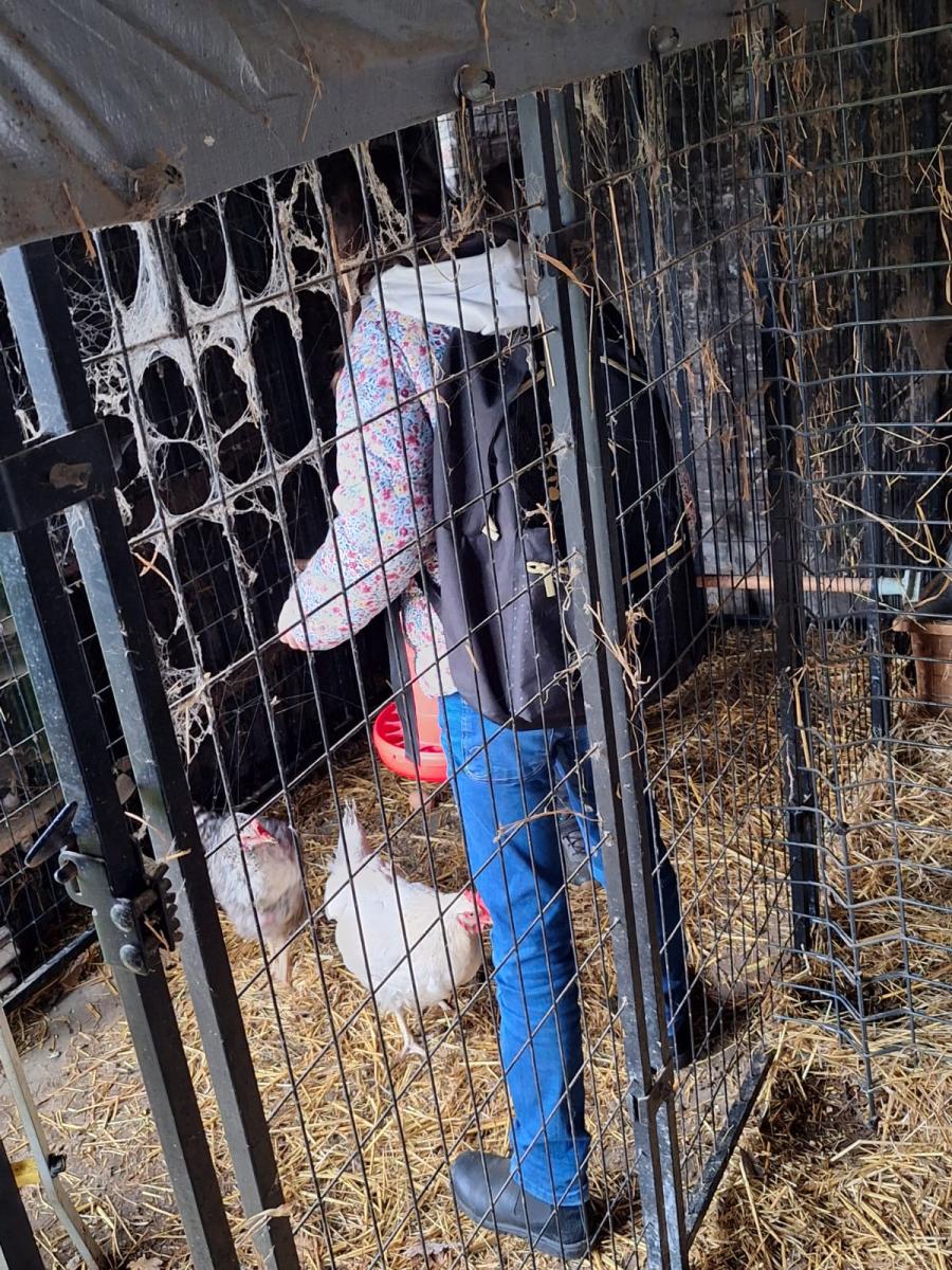 WhatsApp-Image-2023-10-30-at-16.47.121