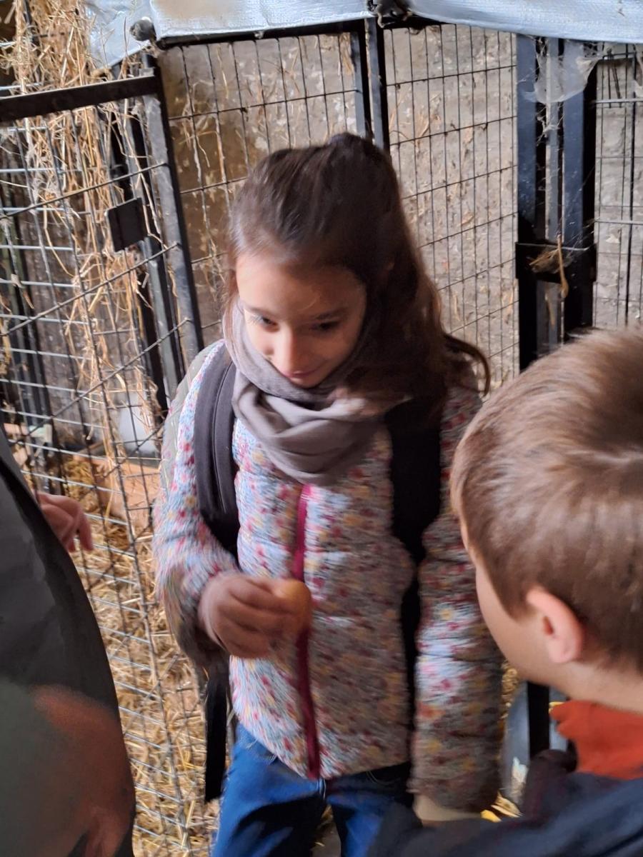 WhatsApp-Image-2023-10-30-at-16.47.18