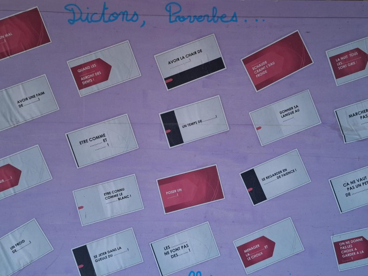 WhatsApp-Image-2023-10-30-at-16.47.27