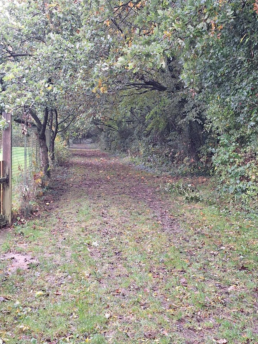 WhatsApp-Image-2023-10-31-at-12.58.49