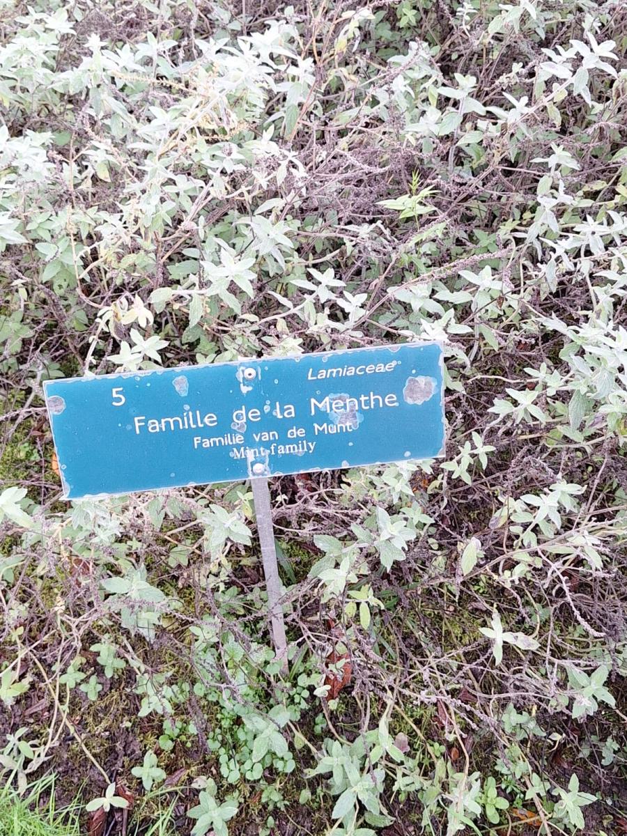 WhatsApp-Image-2023-10-31-at-15.53.221