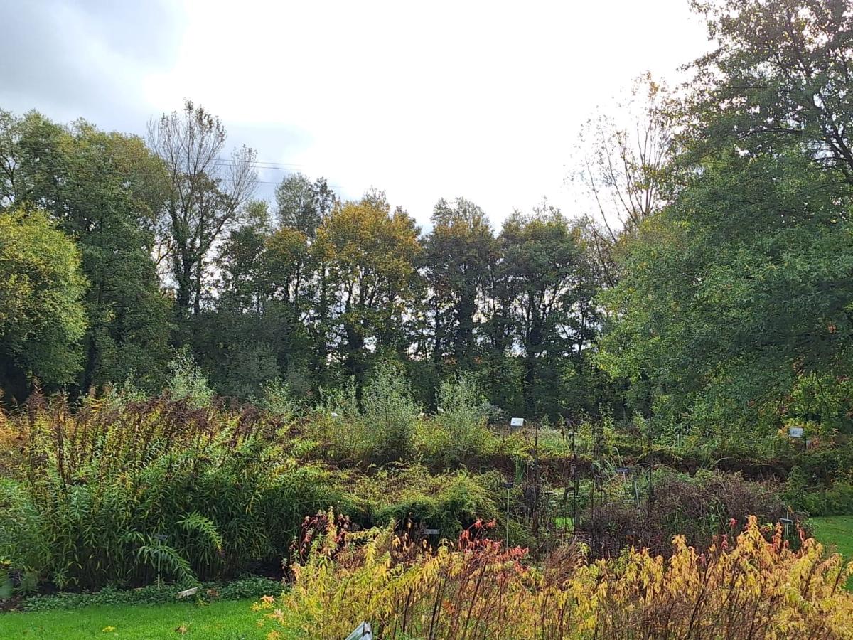 WhatsApp-Image-2023-10-31-at-15.53.241