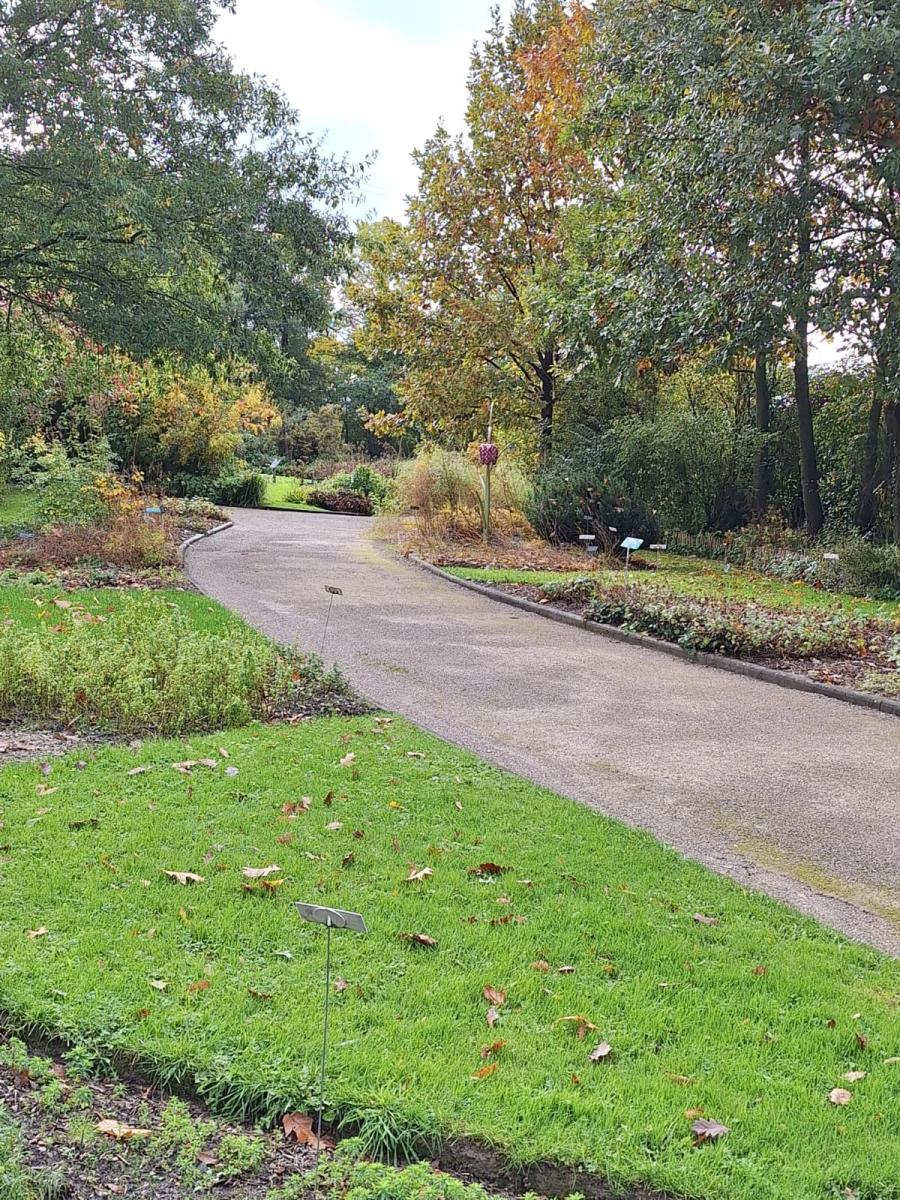 WhatsApp-Image-2023-10-31-at-15.53.29