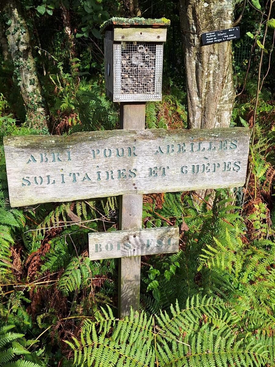 WhatsApp-Image-2023-10-31-at-15.53.34