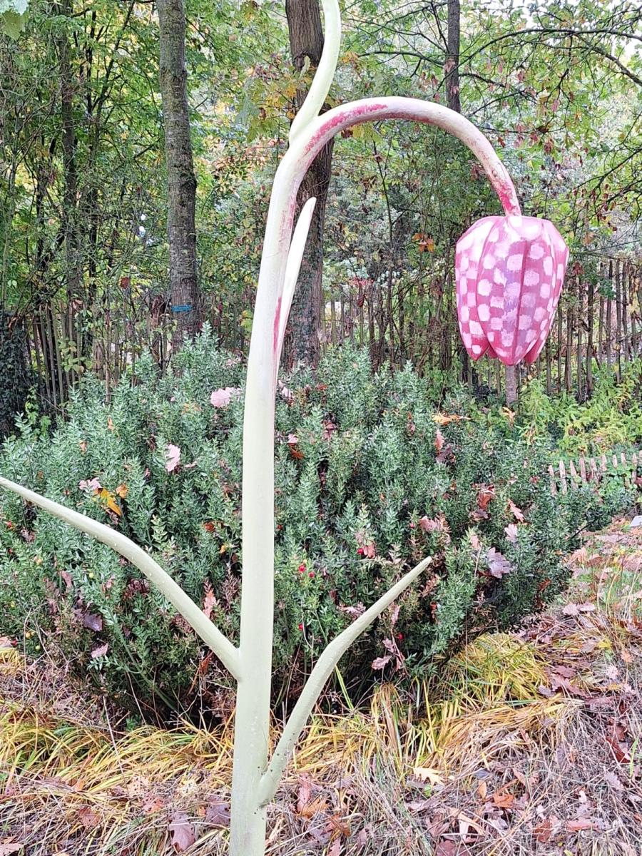 WhatsApp-Image-2023-10-31-at-15.53.35