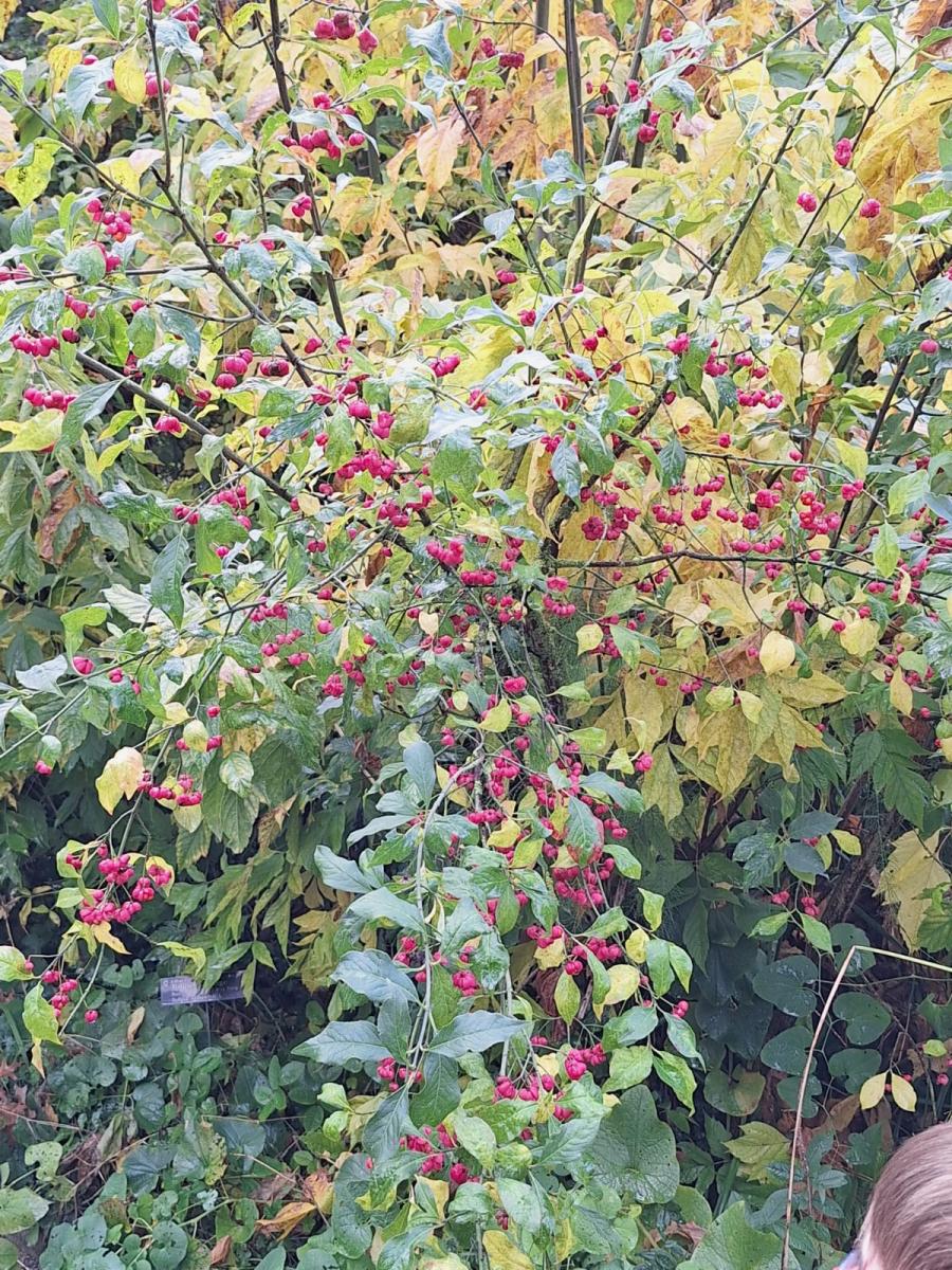 WhatsApp-Image-2023-10-31-at-15.56.41