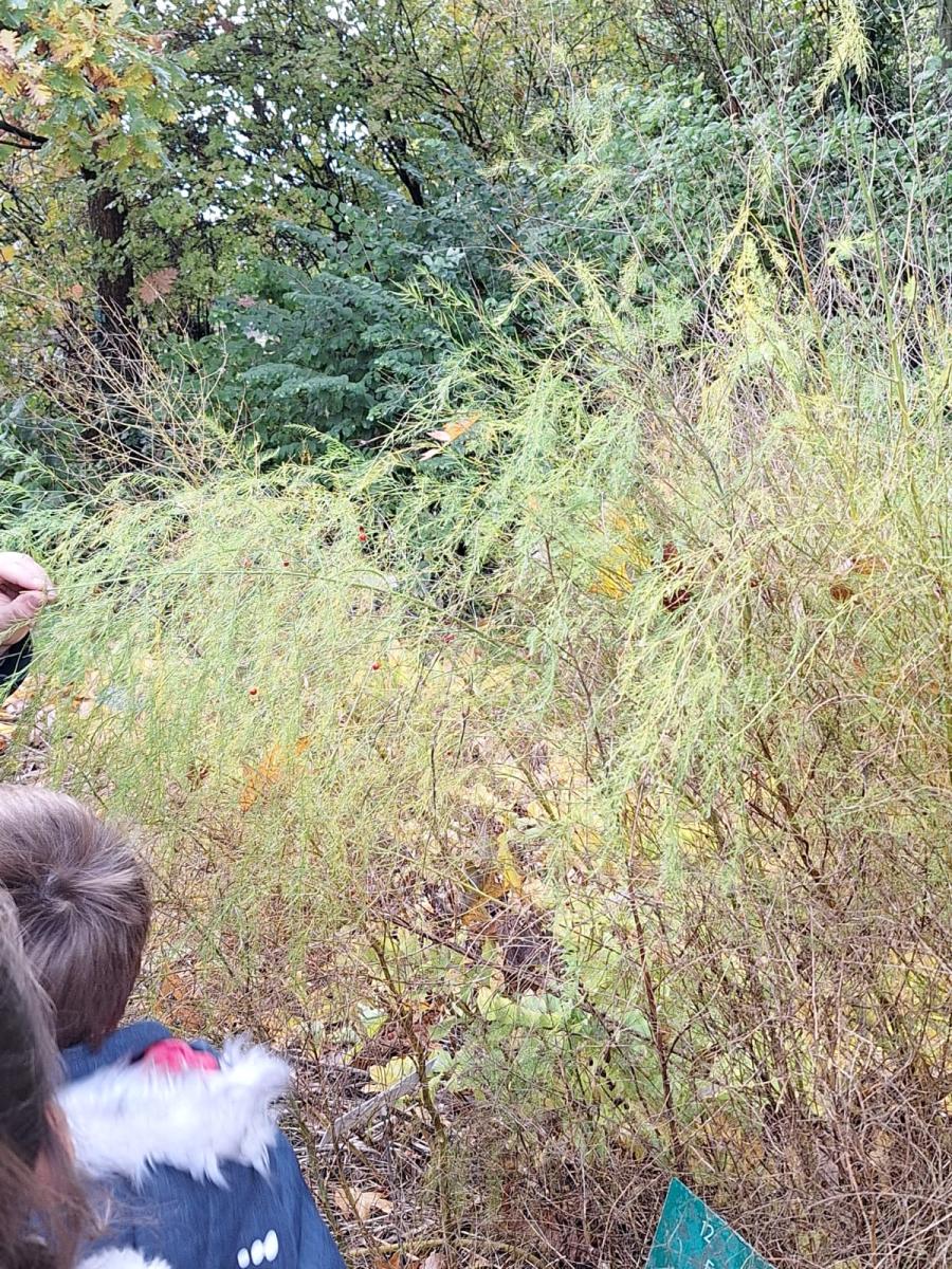 WhatsApp-Image-2023-10-31-at-15.56.411