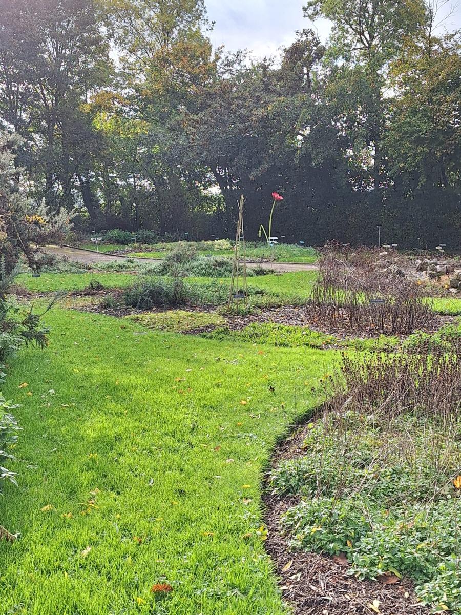 WhatsApp-Image-2023-10-31-at-15.56.431