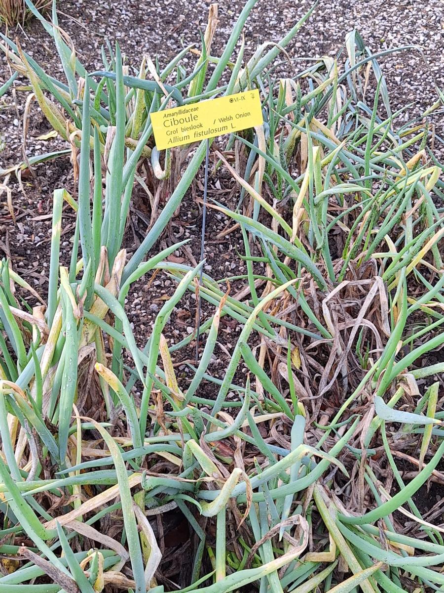 WhatsApp-Image-2023-10-31-at-15.56.432