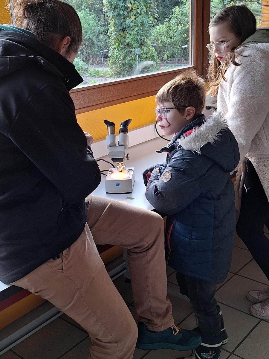 WhatsApp-Image-2023-10-31-at-15.56.44