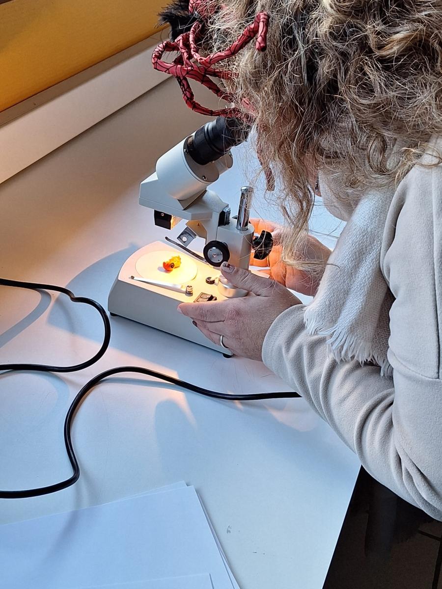 WhatsApp-Image-2023-10-31-at-15.56.45