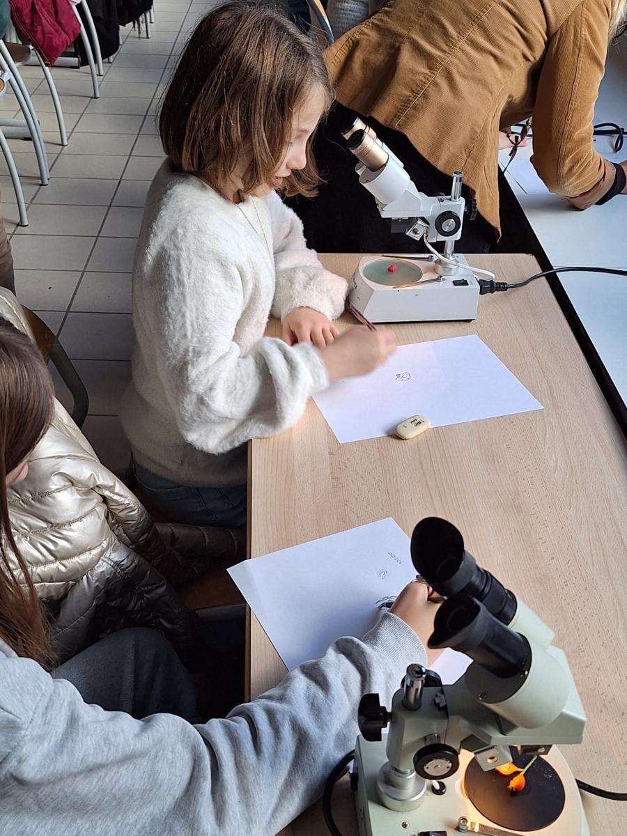 WhatsApp-Image-2023-10-31-at-15.56.453