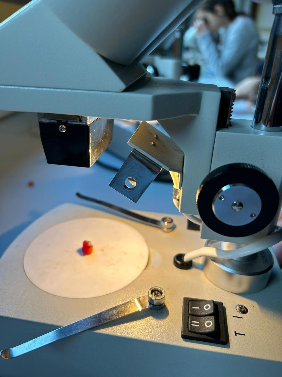 WhatsApp-Image-2023-10-31-at-16.42.12