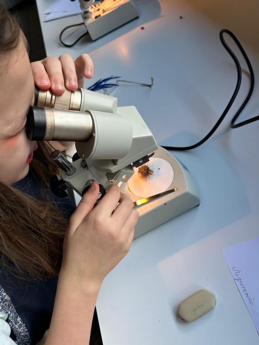 WhatsApp-Image-2023-10-31-at-16.42.54